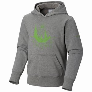 Columbia CSC™ Hoodie Flickor Grå (PJRZE1570)